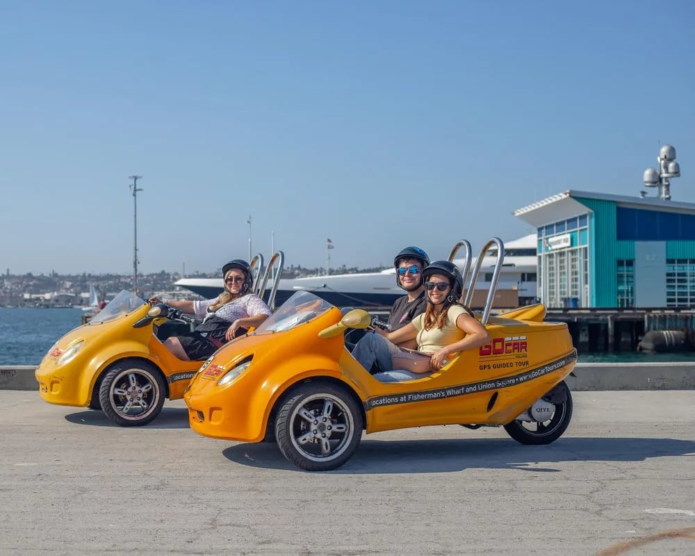 GoCar Tours image