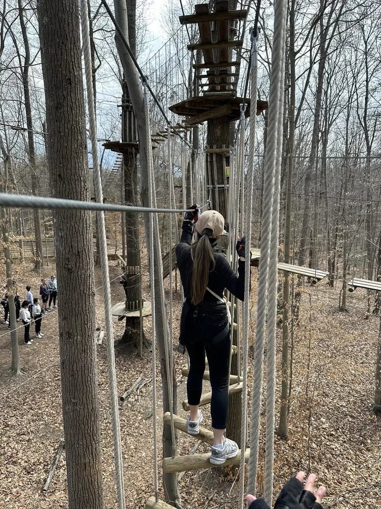 Go Ape Zipline & Adventure Park image