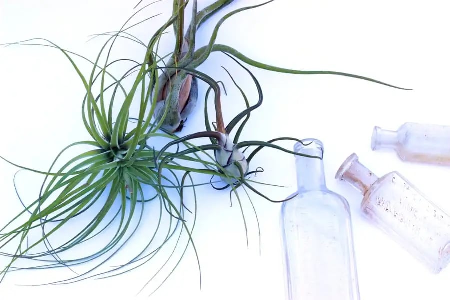 Flourish Workshops image