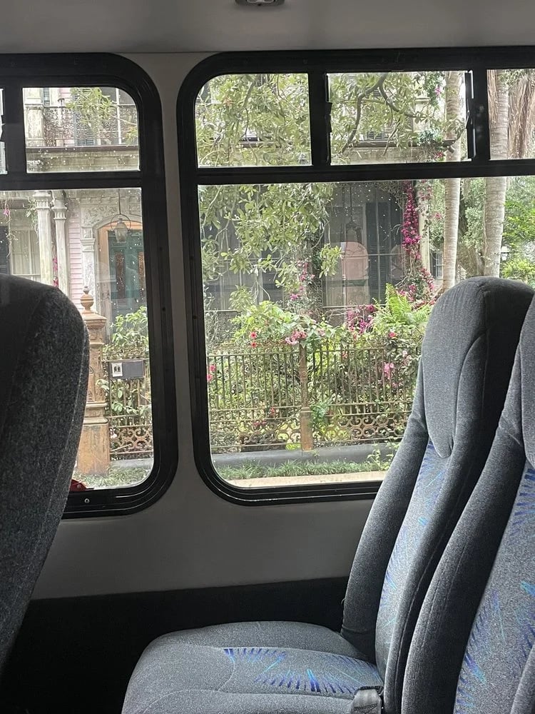 Adventures In New Orleans Tours image