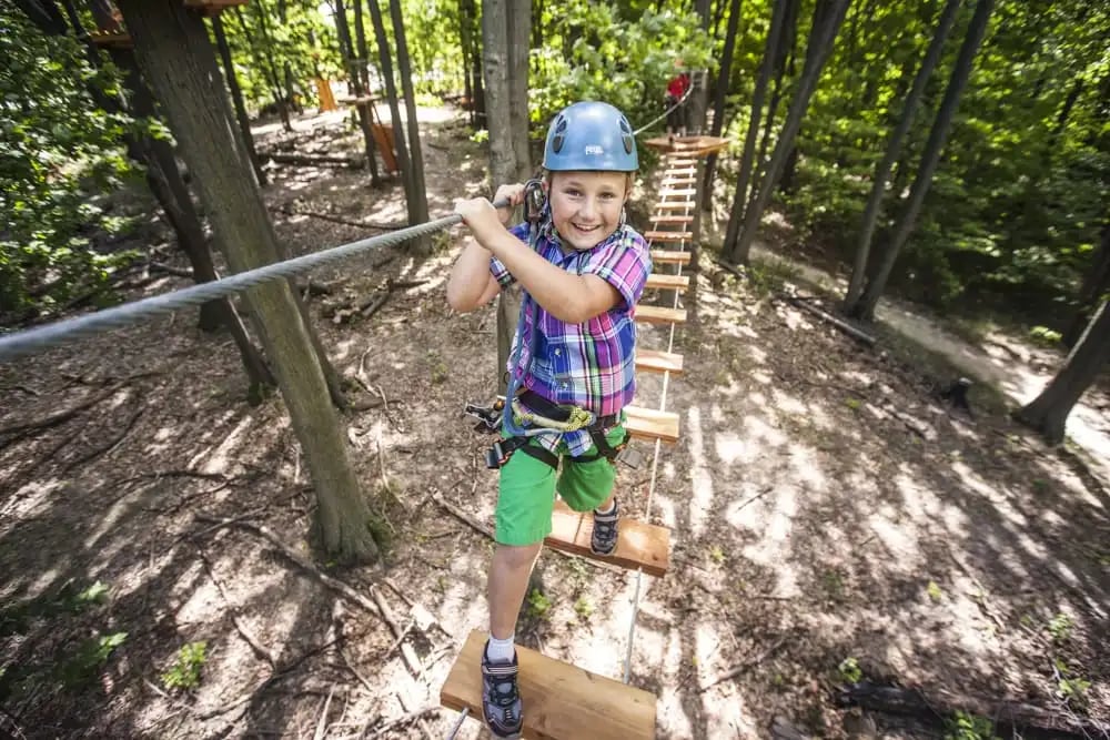 Treetop Trekking image