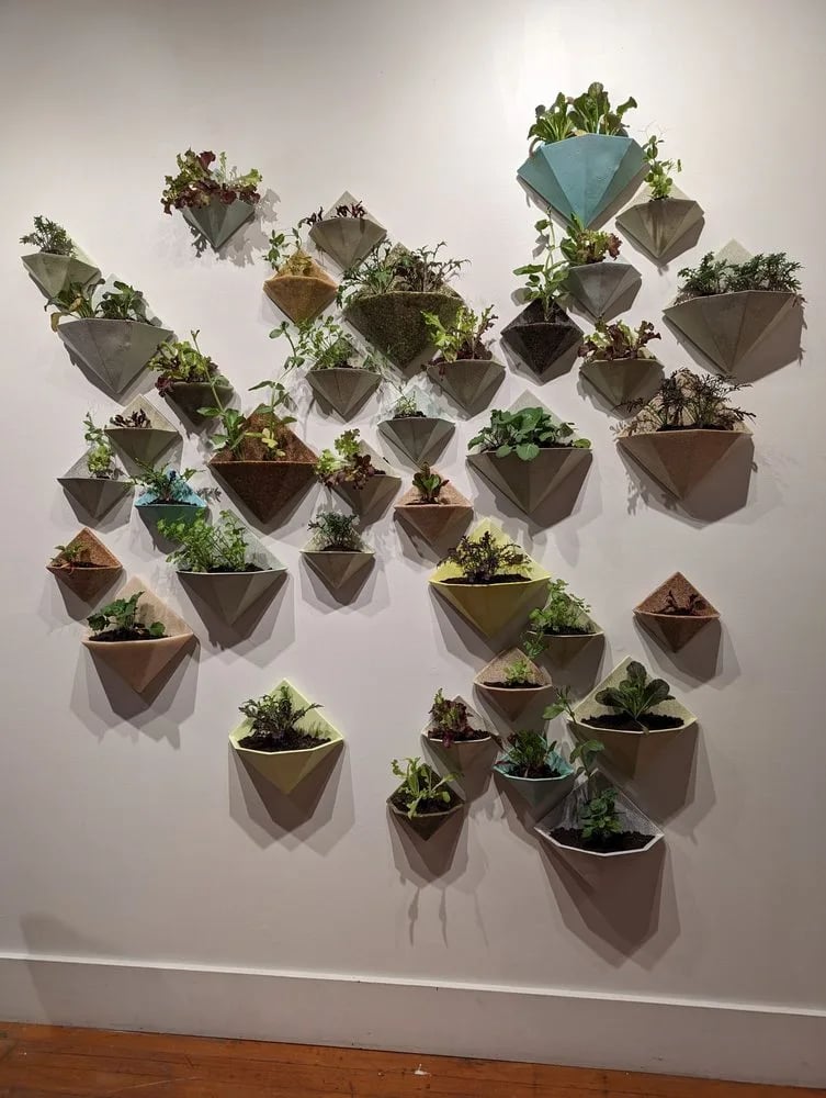 Root Division image