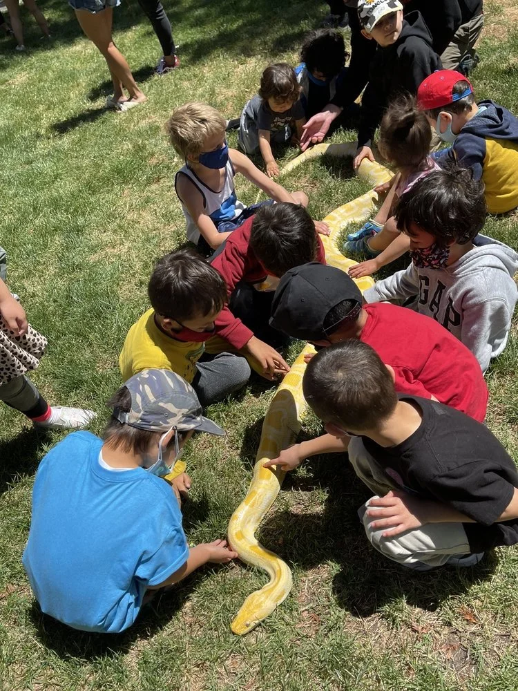 For Goodness Snakes image