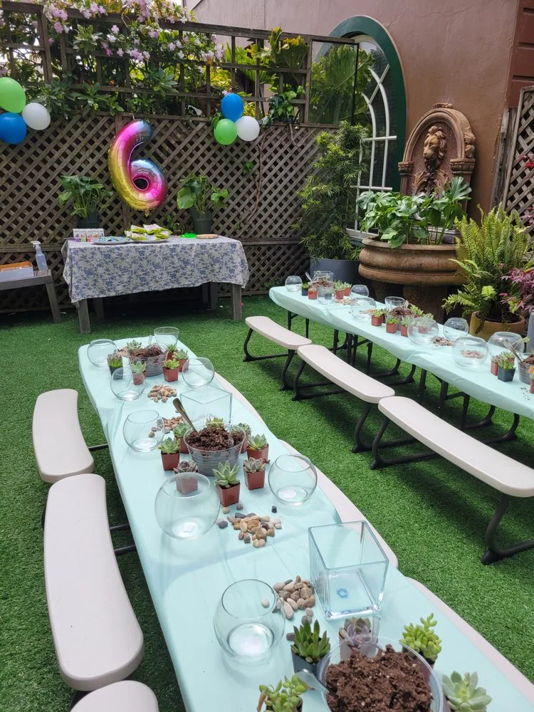 Fun With Plants image