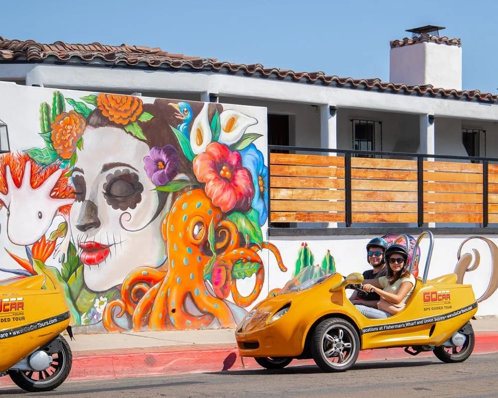 GoCar Tours image