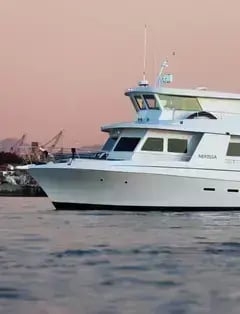 Zolna Yachts
