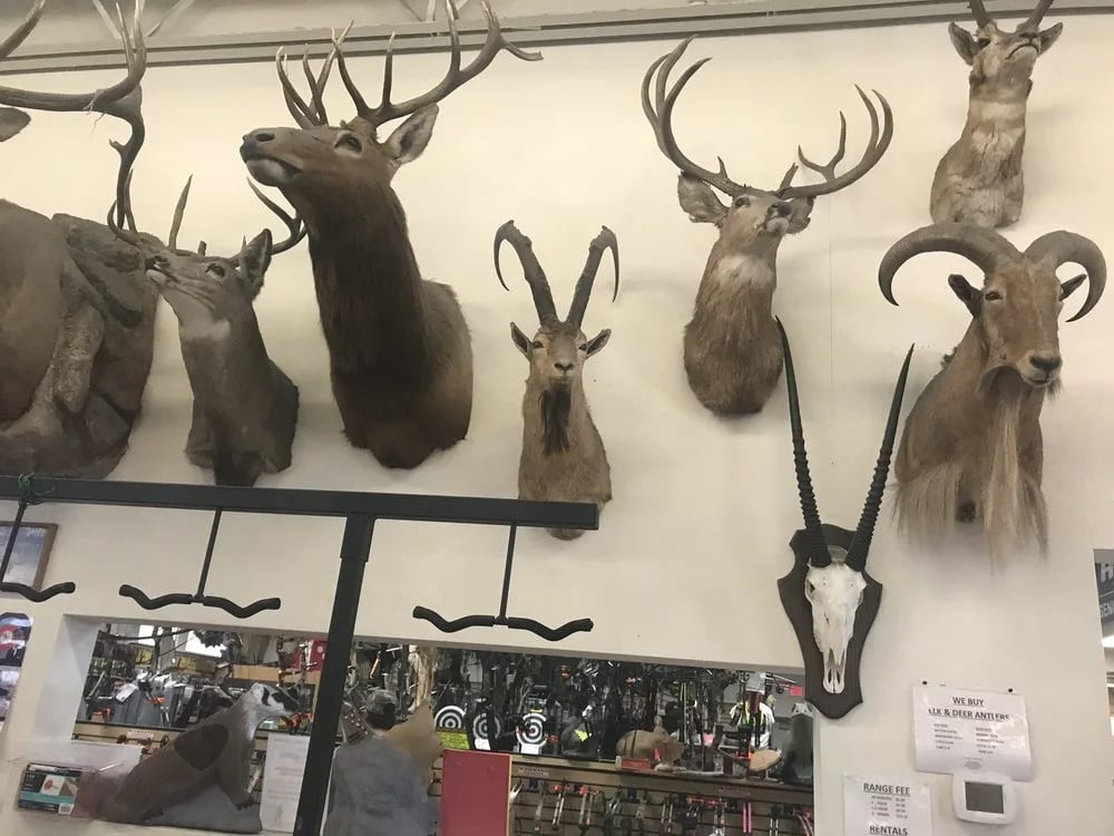Archery Shoppe image