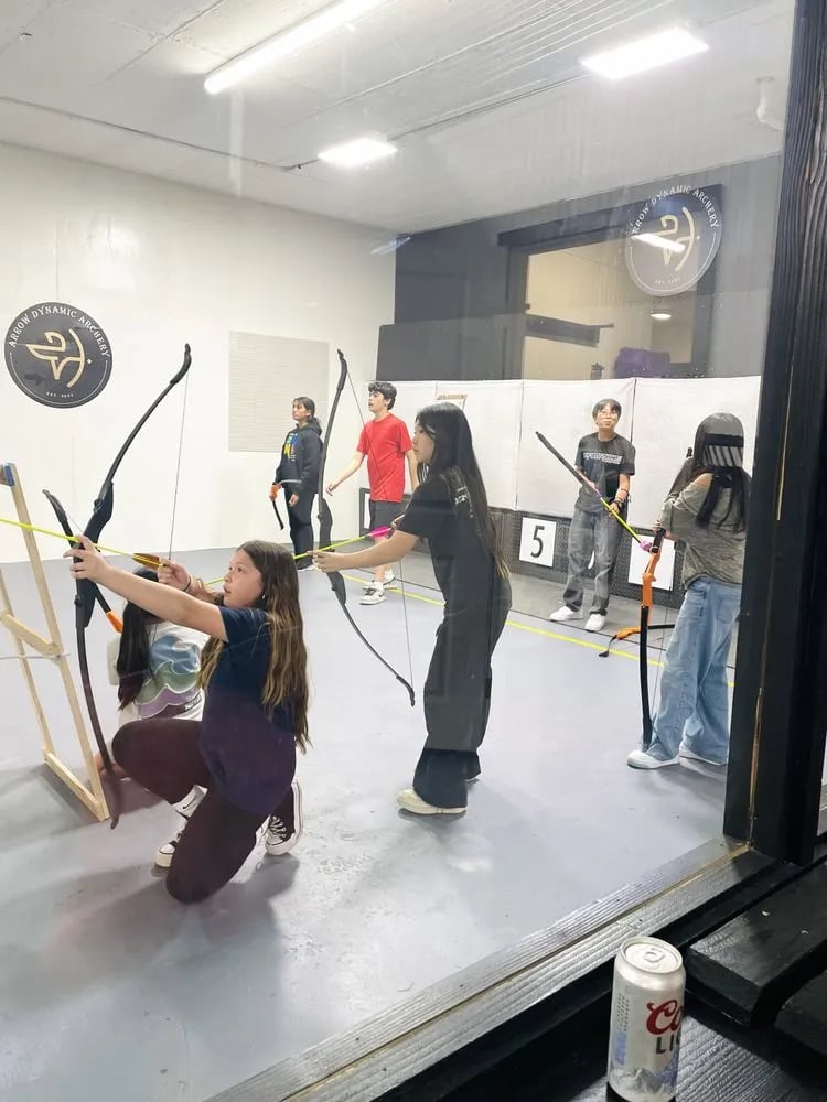 Arrow Dynamic Archery image
