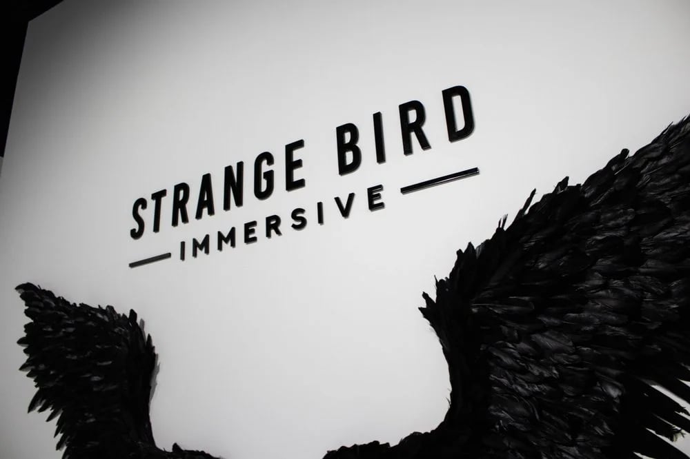 Strange Bird Immersive image
