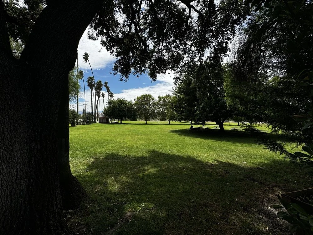 Coyote Ranch image