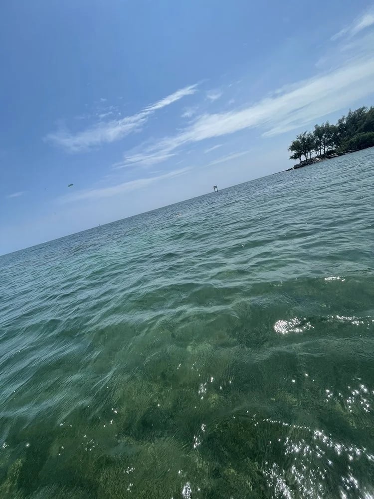 Miami Tours & Water Adventures image