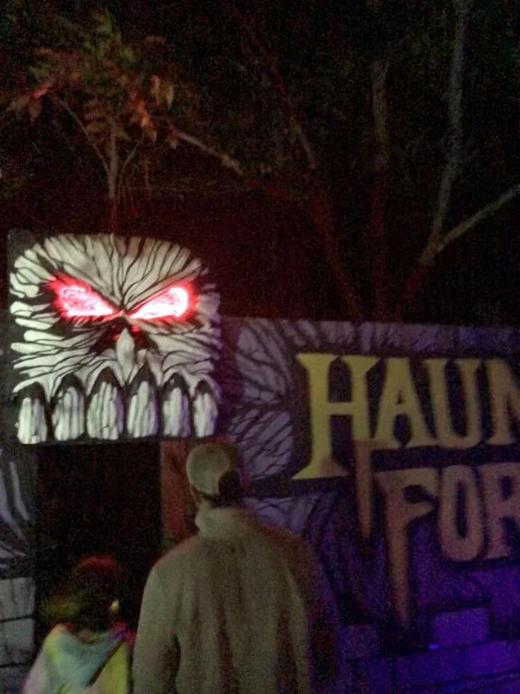 Haunted Forest at Panic Point image