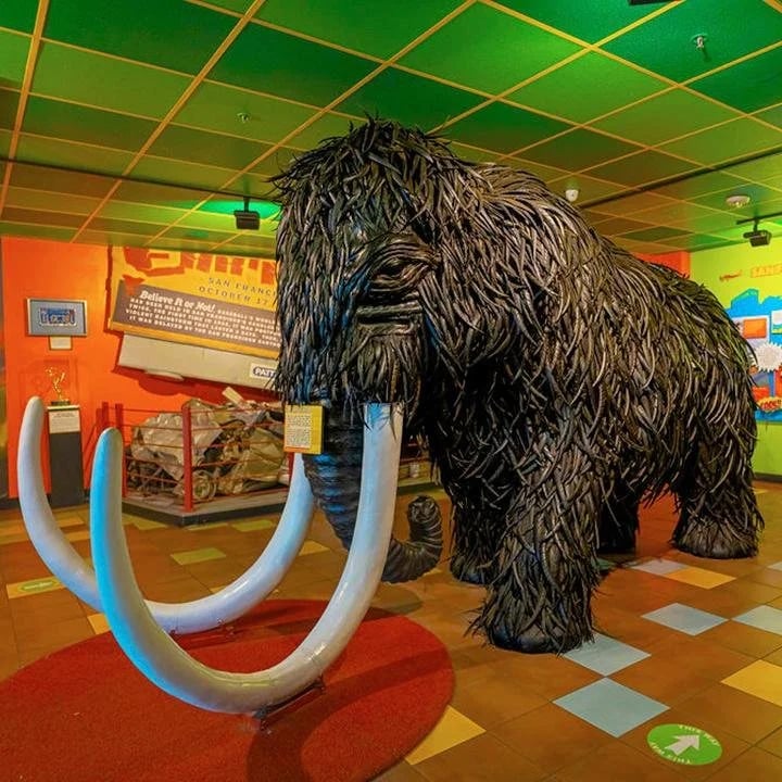 Ripley's Believe It or Not! image
