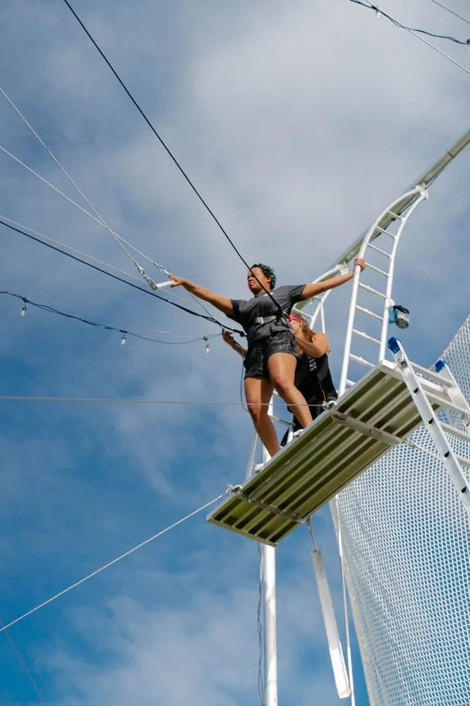 Fly Mile High image