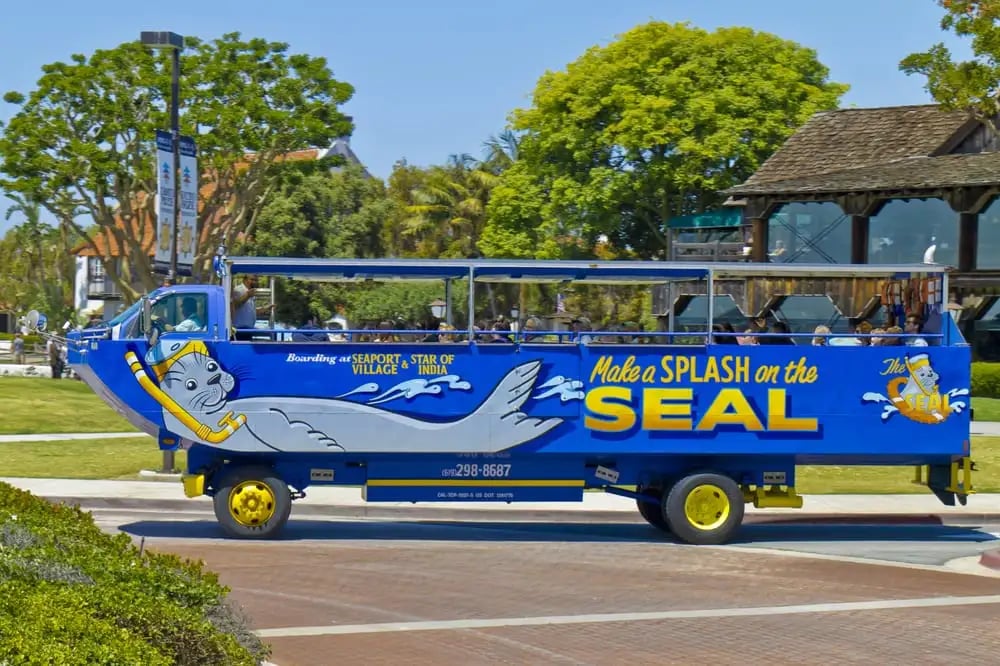 San Diego Seal Tour image