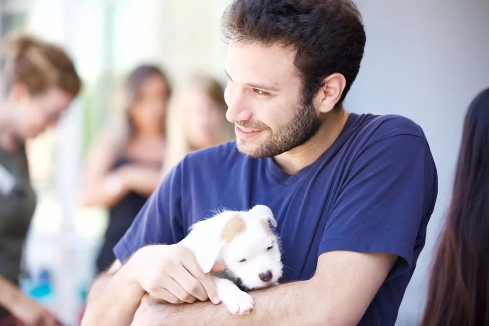 Puppy Love image