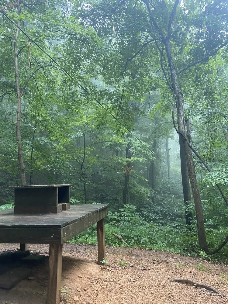 Adventureworks Zipline Forest at Fontanel image