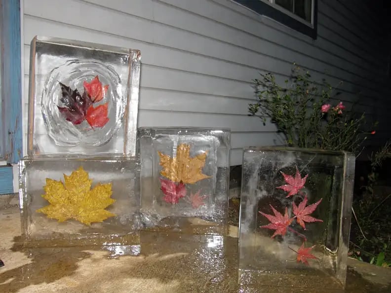 ICEovation image