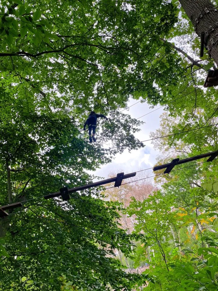 Treetop Quest Philly image