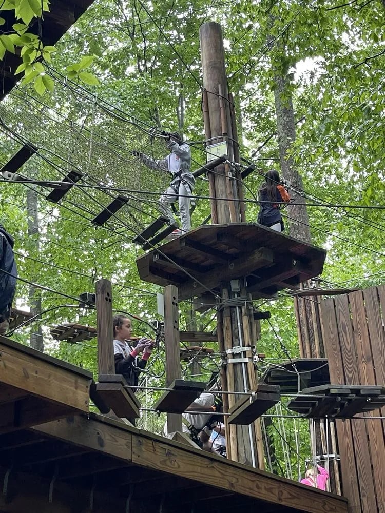 Go Ape Zipline & Adventure Park image