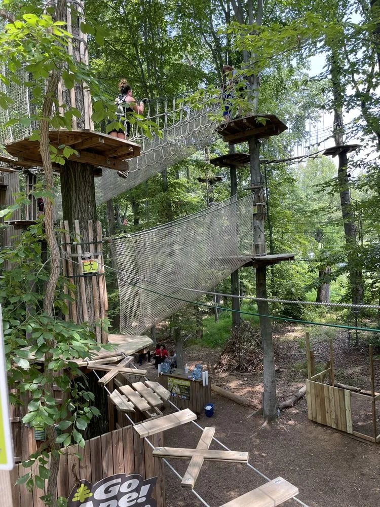Go Ape Zipline & Adventure Park image
