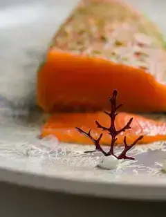 Capitola Garden Feast LLC