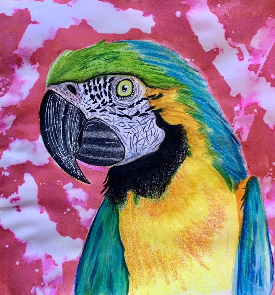 Jennifer Linderman Art image