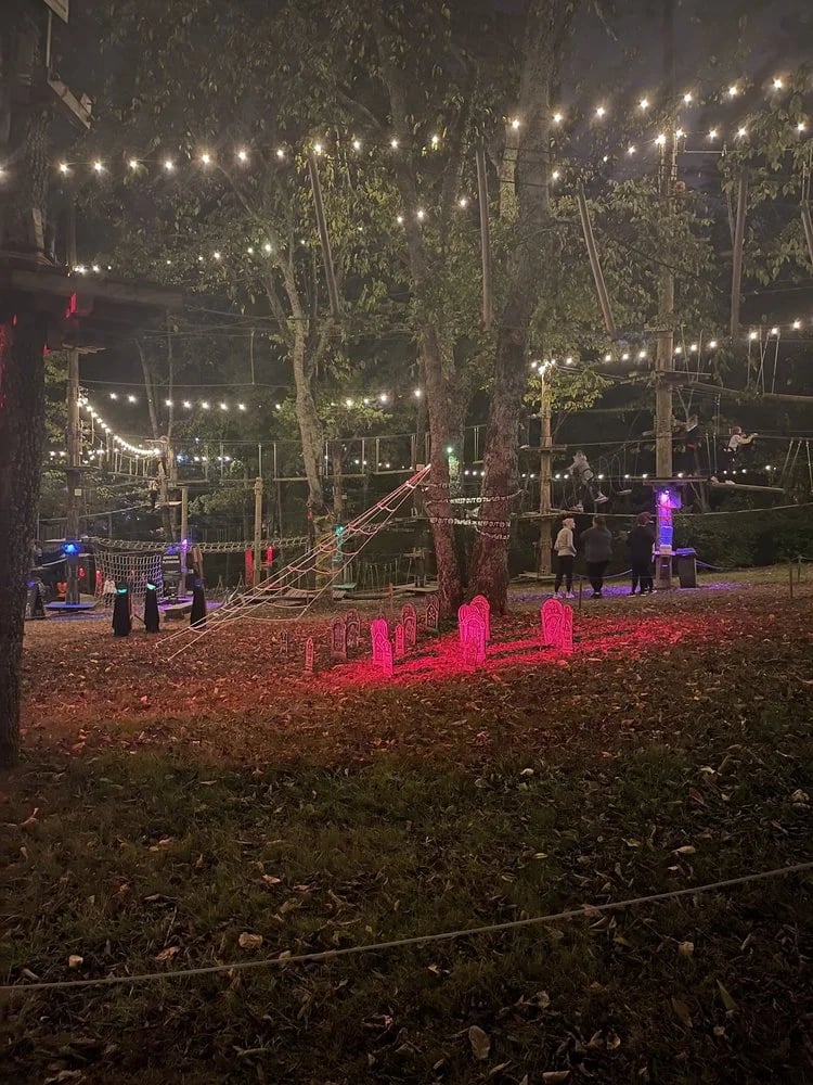 The Adventure Park at Nashville image