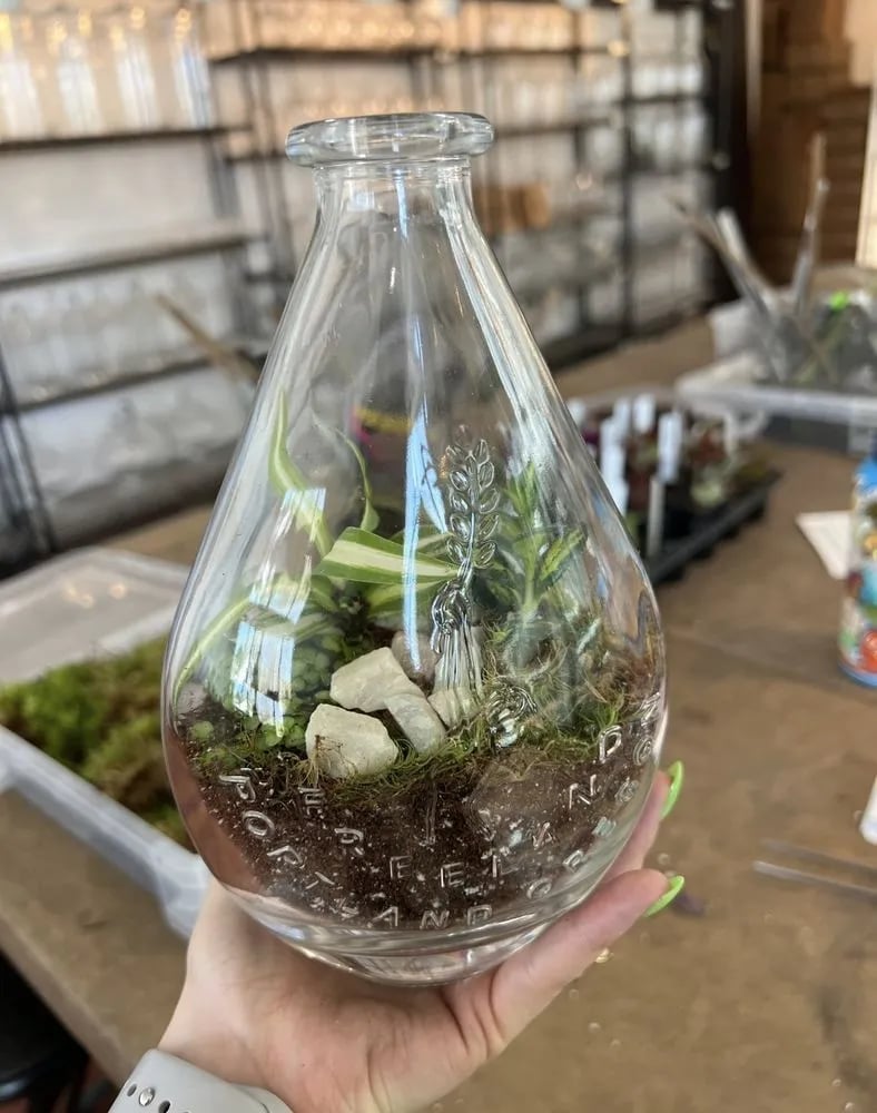Roosevelt's Terrariums image