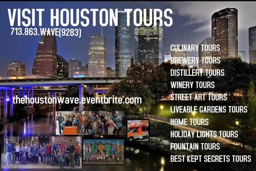 The Houston Wave image