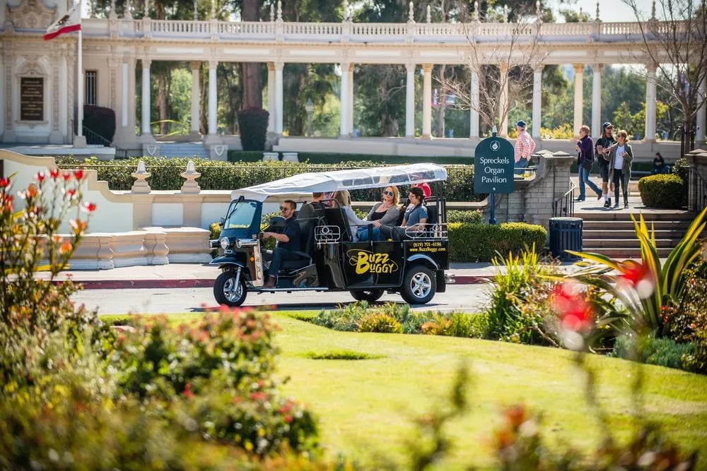 Buzz Buggy image