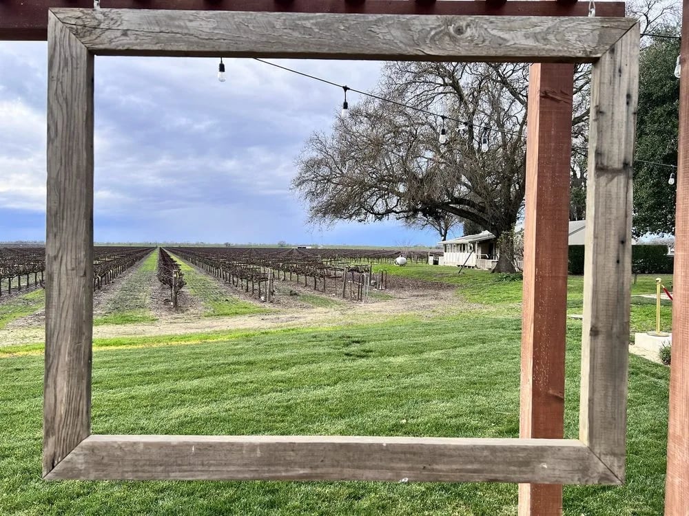SacTown Bites image