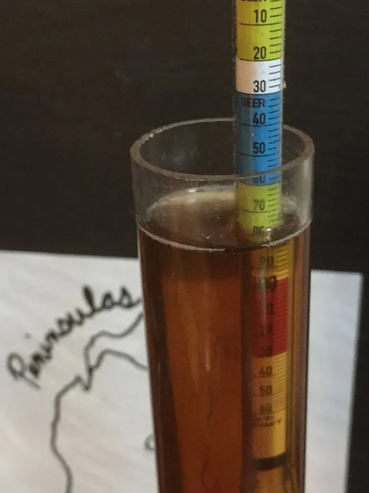Peninsulas Brewing image