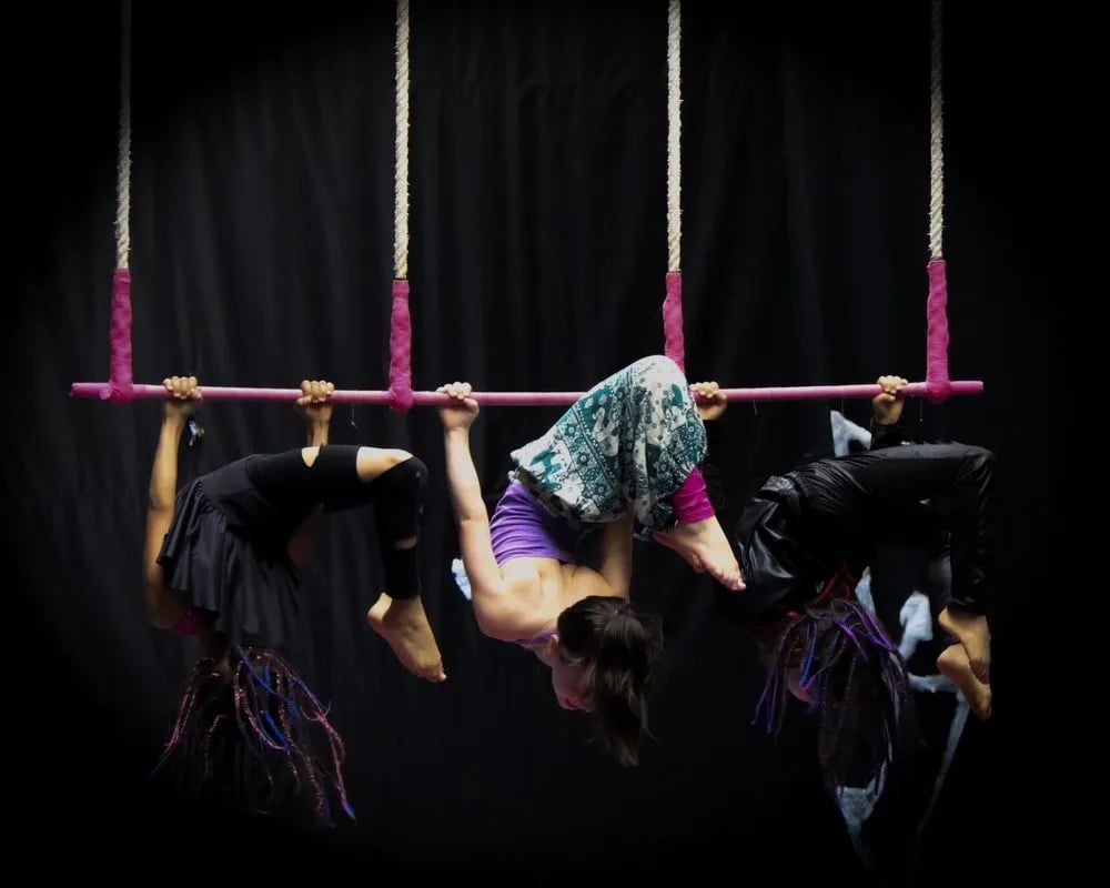 MSA & Circus Arts image