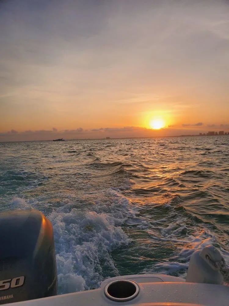 Miami Tours & Water Adventures image