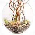 Luludi Living Art image
