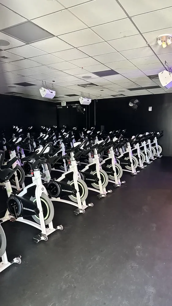 Viv Cycle image