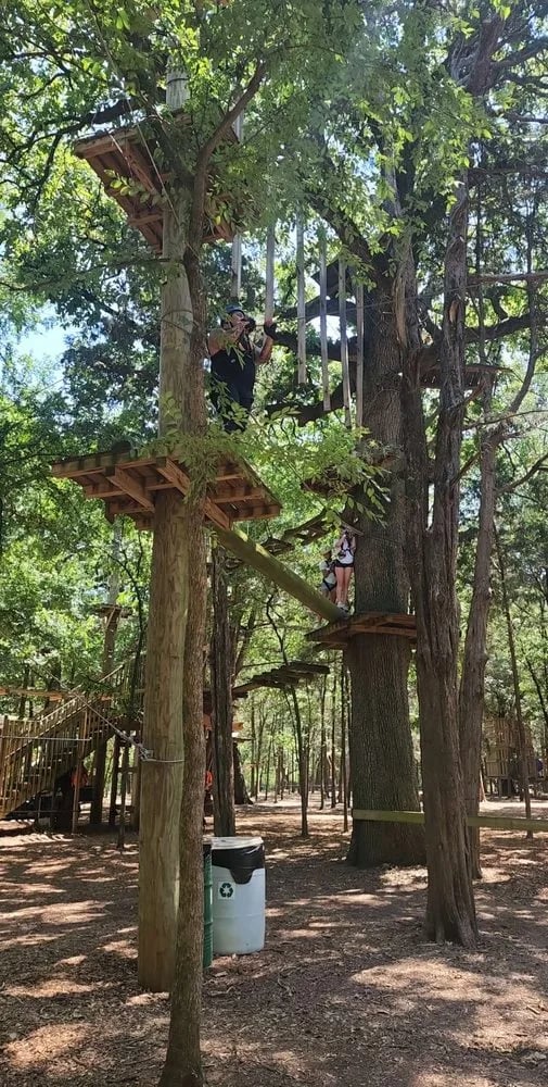Trinity Forest Adventure Park image