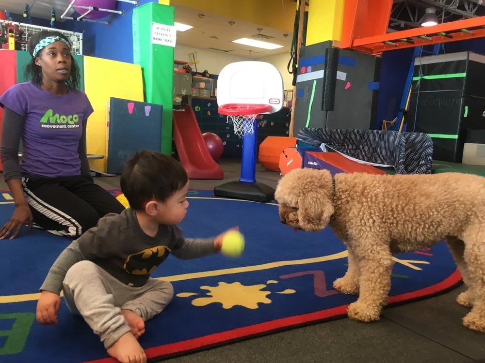 MOCO Movement Center image