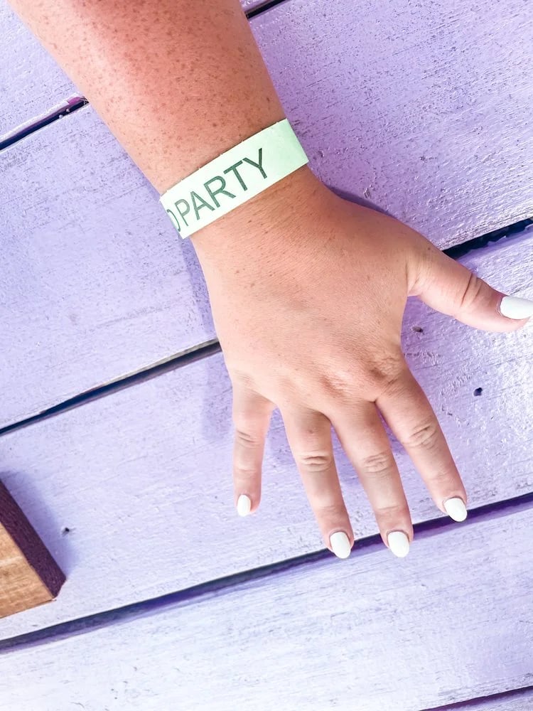 Island Party Boat image
