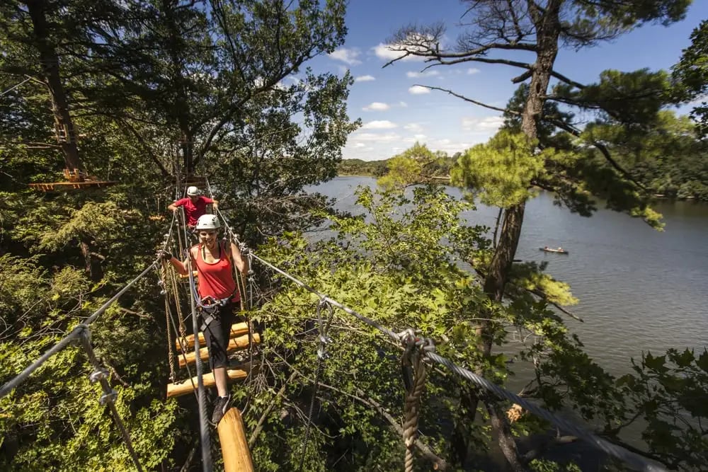 Treetop Trekking image