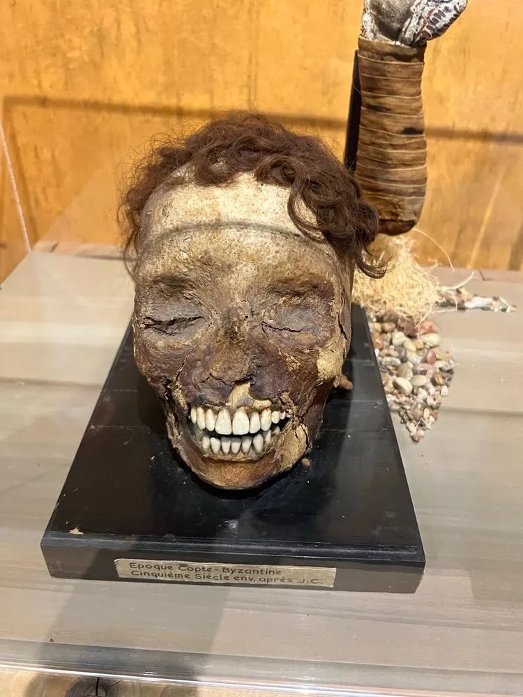Ripley's Believe It or Not! image