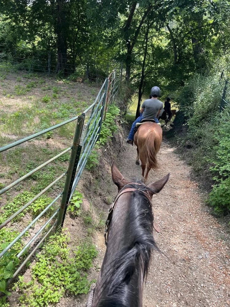 Lone Star Ranch & Rodeo image