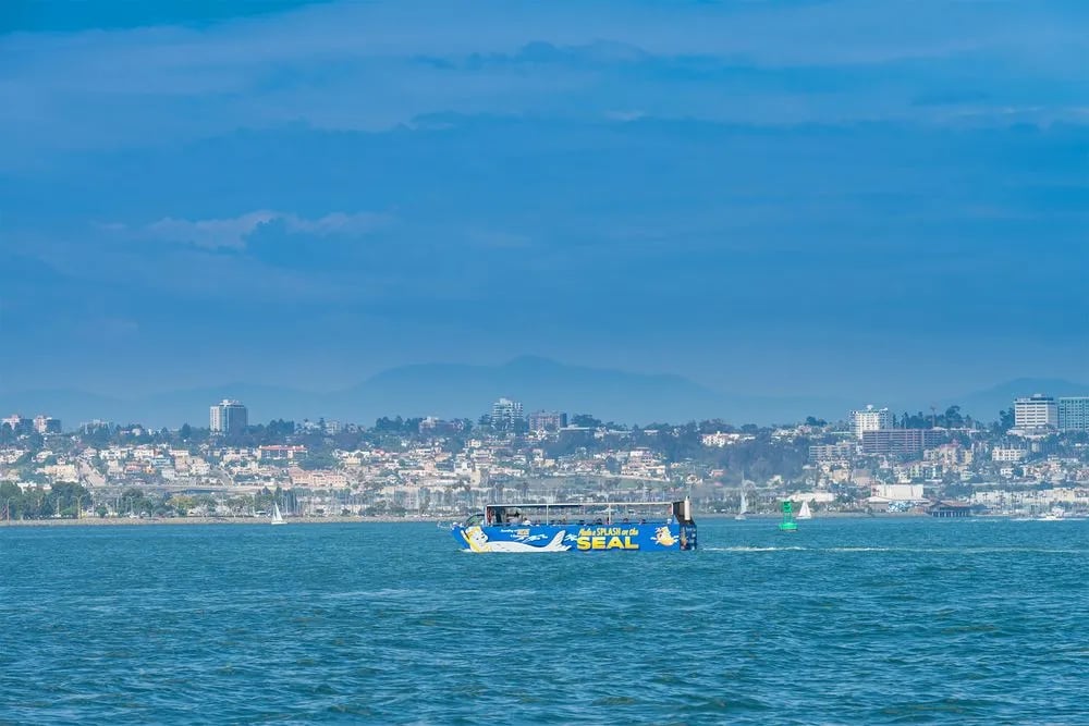 San Diego Seal Tour image