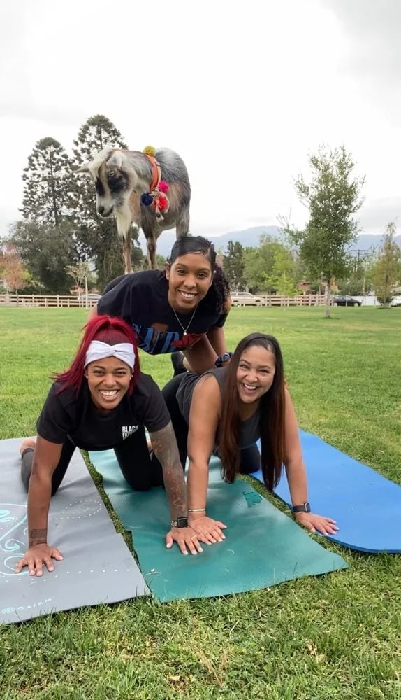Hello Critter Goat Yoga image