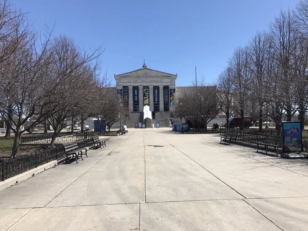 Chicago Segway Tours image