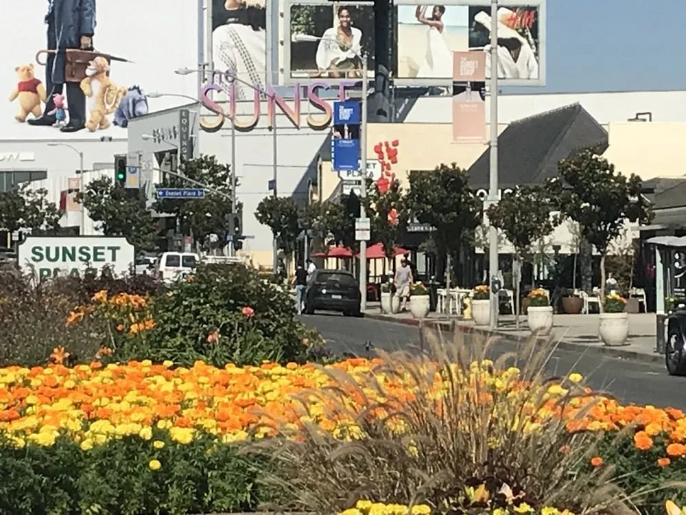 LA Stories image