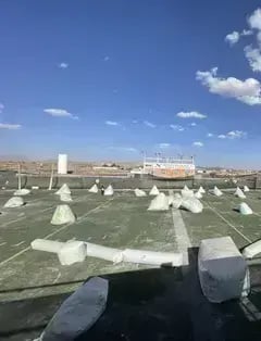 X Motoball Paintball & Sports Park