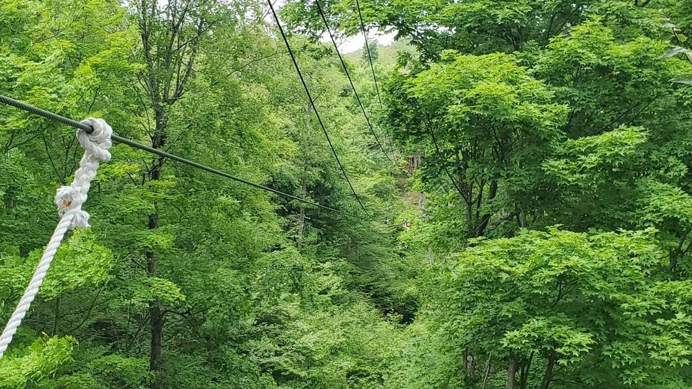 Bristol Mountain Aerial Adventures image