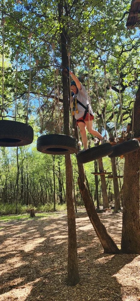 Trinity Forest Adventure Park image